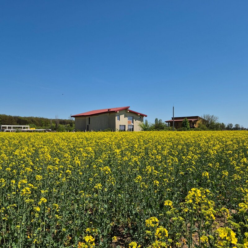 Ciolpani, COR,