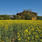Ciolpani, COR