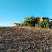 Ciolpani, COR,